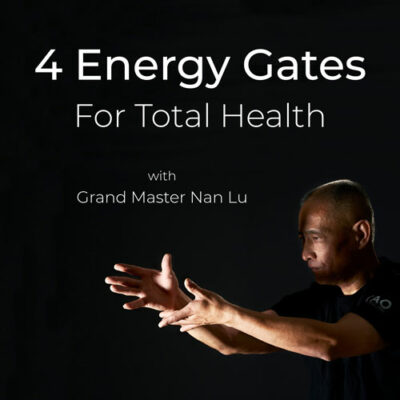 Purchase 4 Energy Gates for daily Qi stimulation