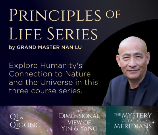 Principle of Life Series - GML Website Banner